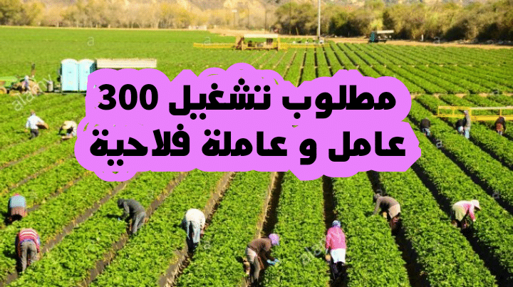 عاجل | للعاطلين عن عمل.. مطلوب تشغيل 300 عامل و عاملة فلاحية في ضيعة فلاحية + السكن متوفر 1 IMG 20200822 203758
