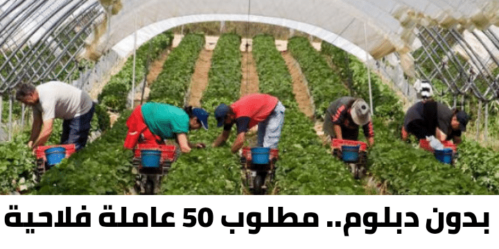 فرصة عمل.. للباحثين عن عمل بدون دبلوم… مطلوب 50 عاملة فلاحية بمدينة اشتوكة آيت باها 1 IMG 20201006 102626