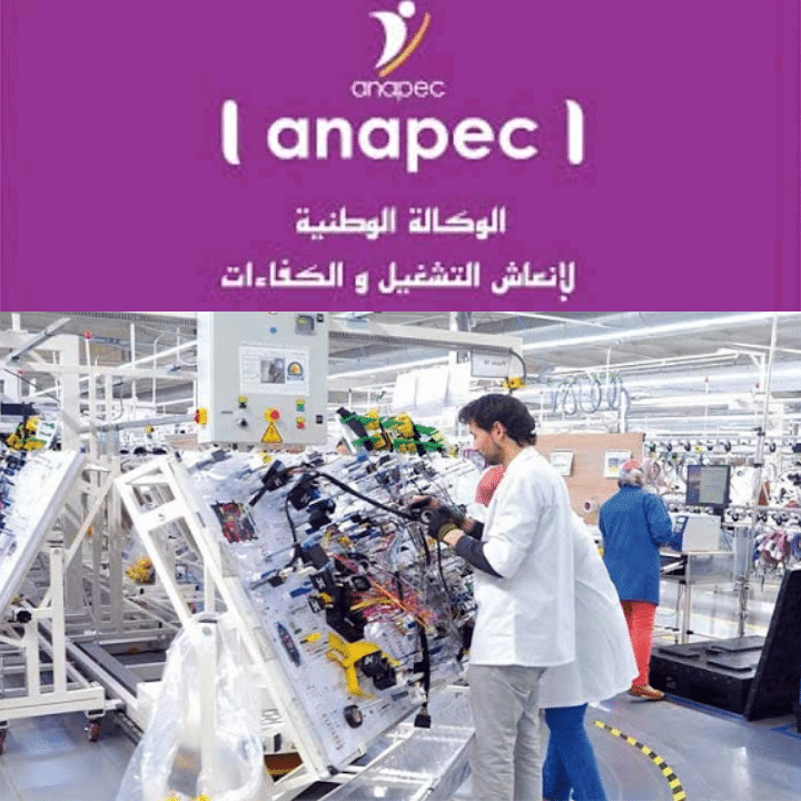 لي عندو اهتمام.. مطلوب تشغيل 100 عامل وعاملة إنتاج بمصنع للسيارات بمدينة طنجة 1 IMG 20201007 093159